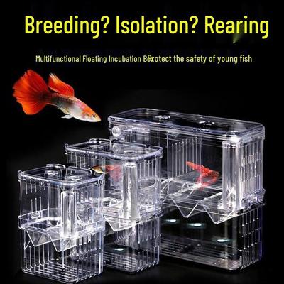 Acryl Schwimmendes Aquarium Isolations- & Aufzuchtbecken für Guppys und Jungfische