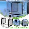 Aquarium Fish Tank Isolation Box Detachable Stainless Steel Mesh Pneumatic Spawning Incubation Box Acrylic Breeding Hatching Box