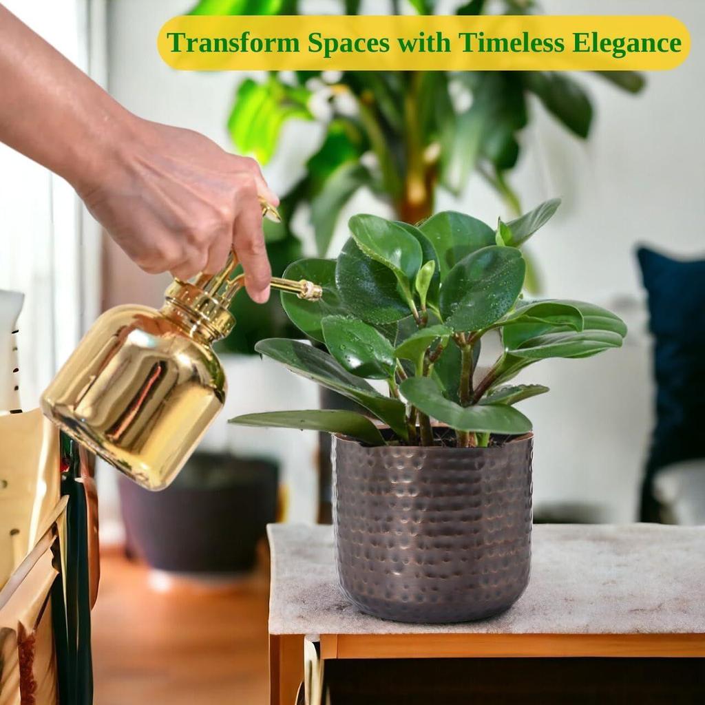 Ghiveci de plante Adam Metal de 5,5 inci, Ghivece de flori decorative moderne de interior, Jardineră decor pentru casă și grădină