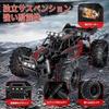 Carox remote control fast car off-road high speed 25KM H 1 18 RC comes 2 rechargeable batteries operation time about 50 minutes adjustment function