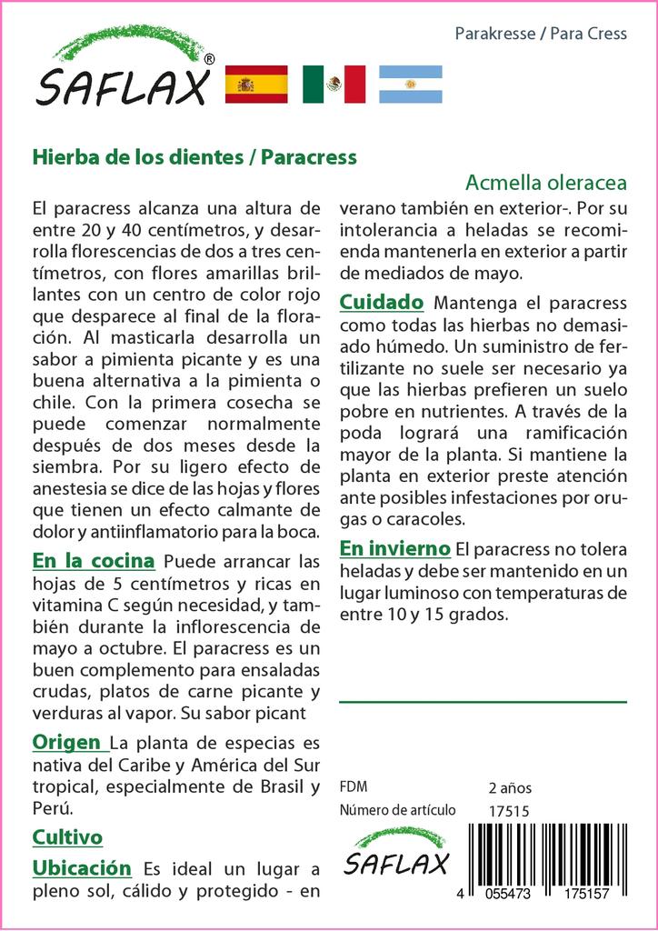 SAFLAX Dárková sada - Para Cress - 500 semen - S dárkovou krabičkou, kartou, štítkem a substrátem pro zalévání - Acmella oleracea