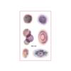 Sweatproof Bruise Scab Scar Tattoo Sticker Waterproof Zombie Cosplay Props  Festival Carnival