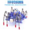 Export Handmade Animal Models, Children'S Educational Electric Spider Robots Diy Assembly Toys
