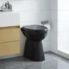 Randloze Toilet 7 cm Extra Hoogte Soft Close Keramiek Zwart