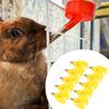 11PCS Rabbit  Pipe Interface Nipple Drinking Fountains Durable Automatic DrinkerG1 2 Short Type