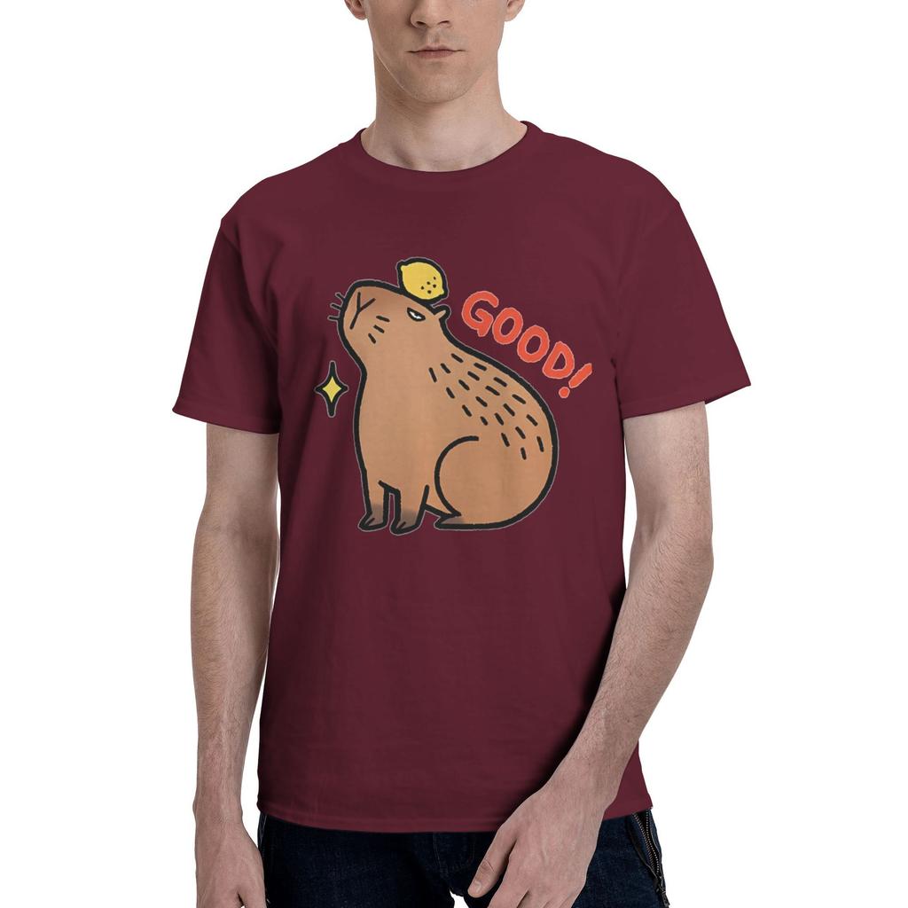 Men's Print Funny Capybara Graphic T-Shirts Cute Animal Cotton Tops Beach Short Sleeve T Shirt O-Neck Tee Shirt Plus Size 5XL