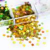 12Grid Five-pointed Star Sequins Size 3mm Mixed Nail Jewelry Resin Drop Glue Filled Sequins 3D Holographic Flake Sequins