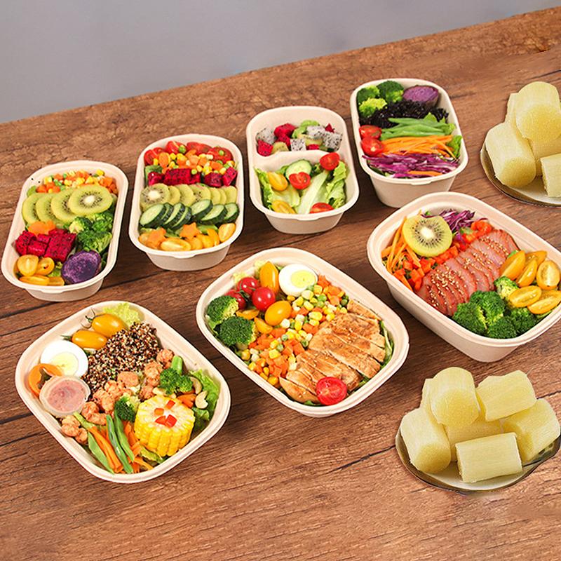 10/50 Stück Ovale Zuckerrohr Bagasse Boxen Umweltfreundliche Biologisch Abbaubare Lebensmittelbehälter mit PET-Deckel