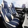 2022 BYD Yuan PLUS Leather Seat Cushion Cover for Five-Seat Car - All-Season, Full Surround