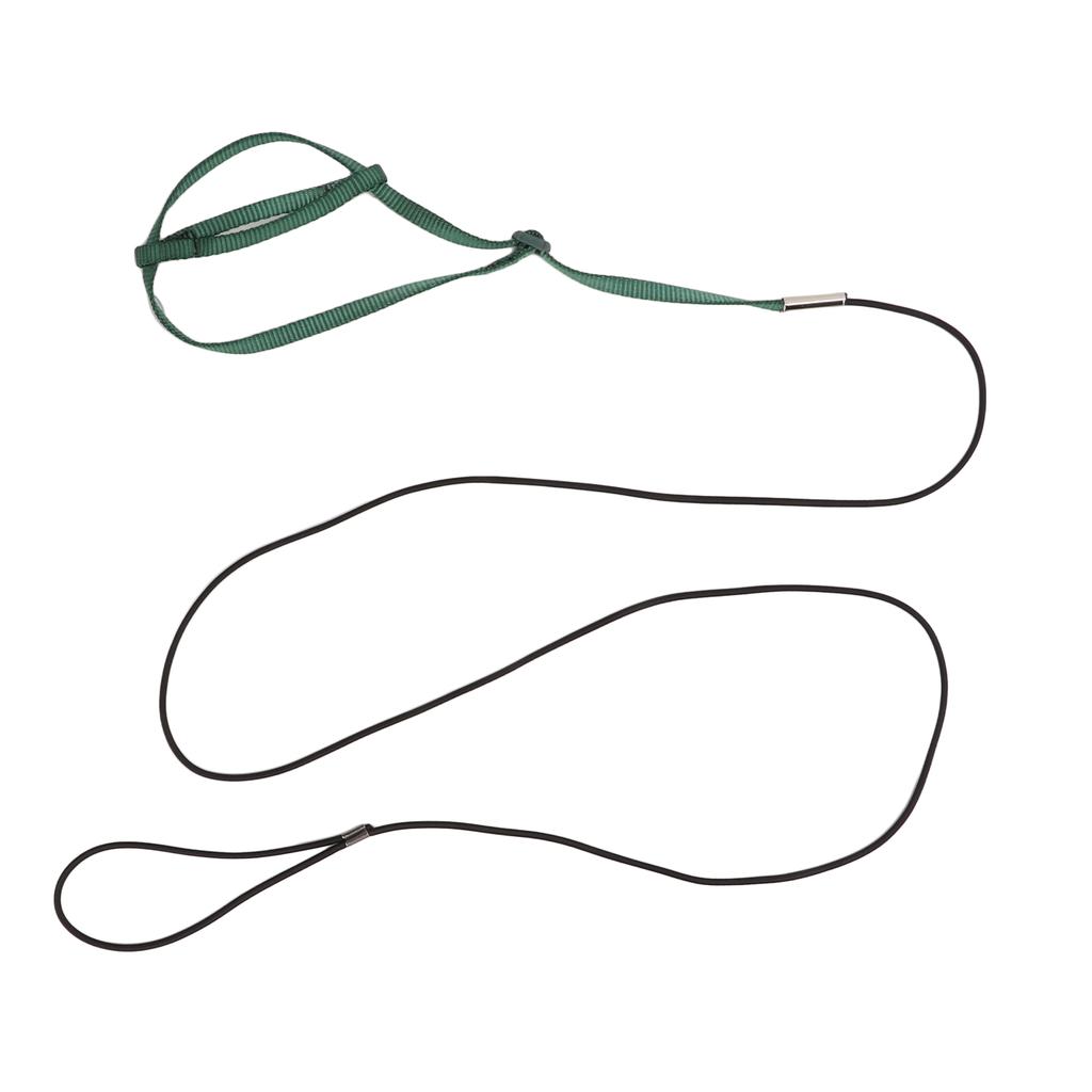 Bird Harness Leash Adjustable Elastic Flying Training Parrot Traction Rope for Cockatiel Lovebird