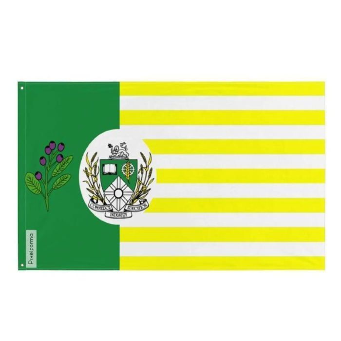 Drapeau - Saskatoon - 90 x 150 cm - Polyester - Impression recto/verso - Œillets en fer