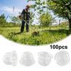 Primer Bulbs Transparent 19mm 16mm 14mm 18mm Für Vergaser Priming Bulb