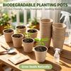 10pcs 6/8cm Plant Grow Pot Paper Nursery Cup Starters Garden Flower Pots Herb Vegs Kit Biodegradable Home Gardening Tools