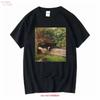 Am I The Drama Altered Art Series Millais Ophelia Feminist T Shirt Equal Rights Burn Patriarchy Shakespeare Vintage