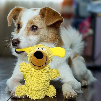 Squeaky Dog Toy Plush Stuffed Mop Dog Chew Toy Interactive Puppy Teething Toy for Small Medium Large Dogs