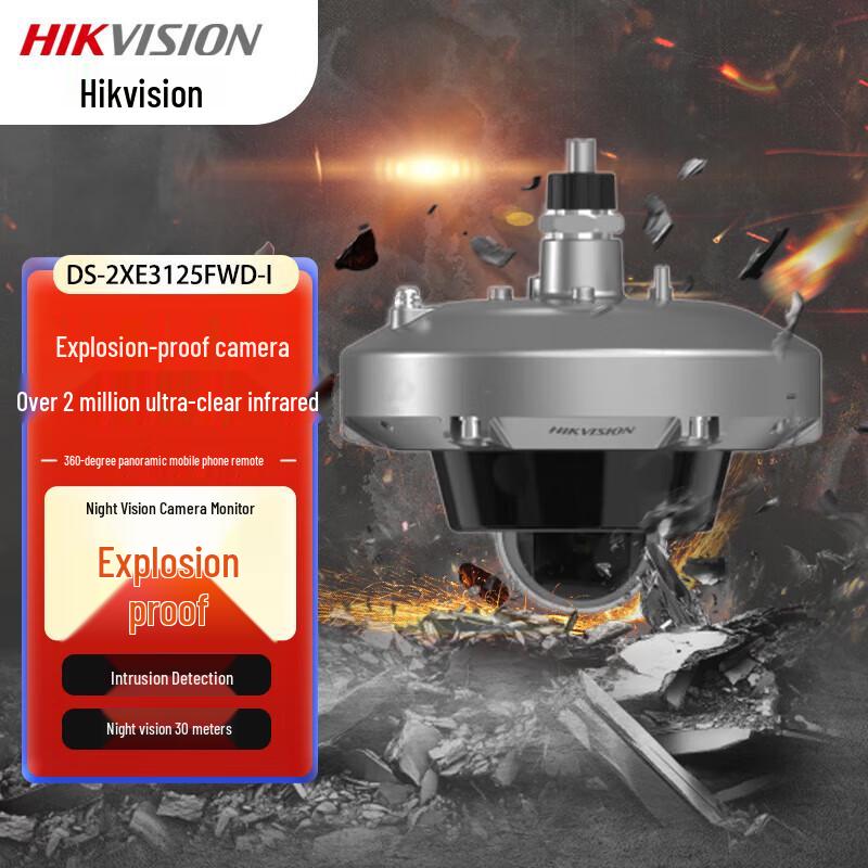 

HIKVISION DS-2XE3125FWD-I Explosion-Proof Dome Camera CN plug (adapter included)
