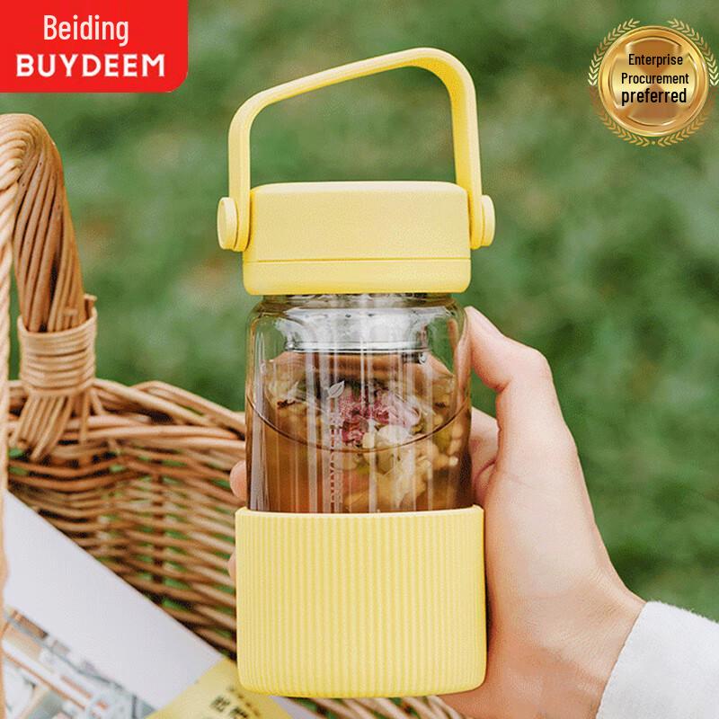 Buydeem Portable Tea Infuser Glass Water Bottle