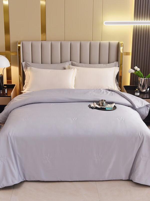 

Conch Moonlight Nano Pearl Fiber All-Season Separable Quilt