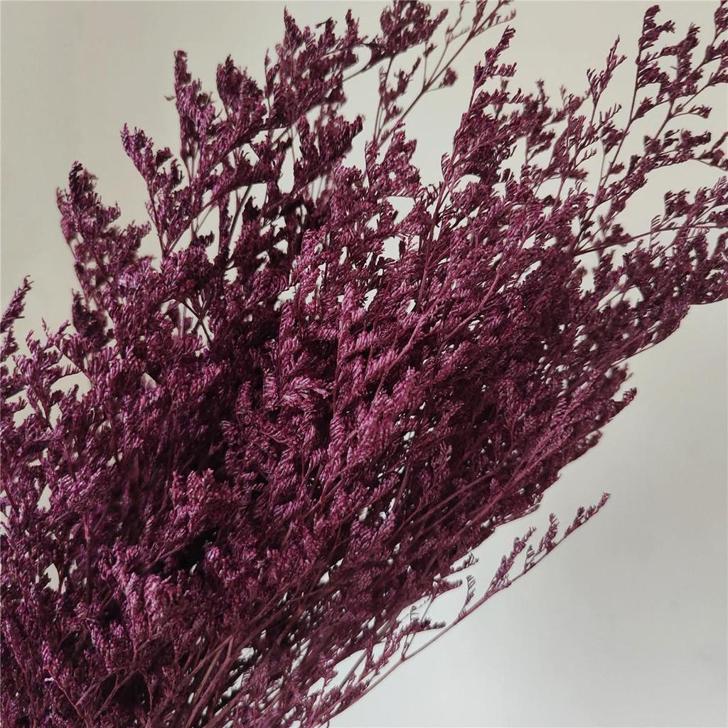 Everlasting White Dried Baby's Breath Flowers for Home Decor and Photography