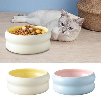 Cat Bowls Ceramic Water Bowl For Cats Kitten Feeding Dish Microwave Safe Dish For Veterinary Pet Puppy Travel Household