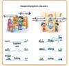 Dou Ban Jiang Mind Map: Speed Memory Chinese Characters for Young Students – Ren Jiao Edition