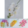 Artificial Phalaenopsis Orchid 3d Printed Realistic Multi Stem For Home Wedding Decor