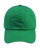 GRAVER [Unisex] Back Small Flower Embroidery Ball Cap_Green