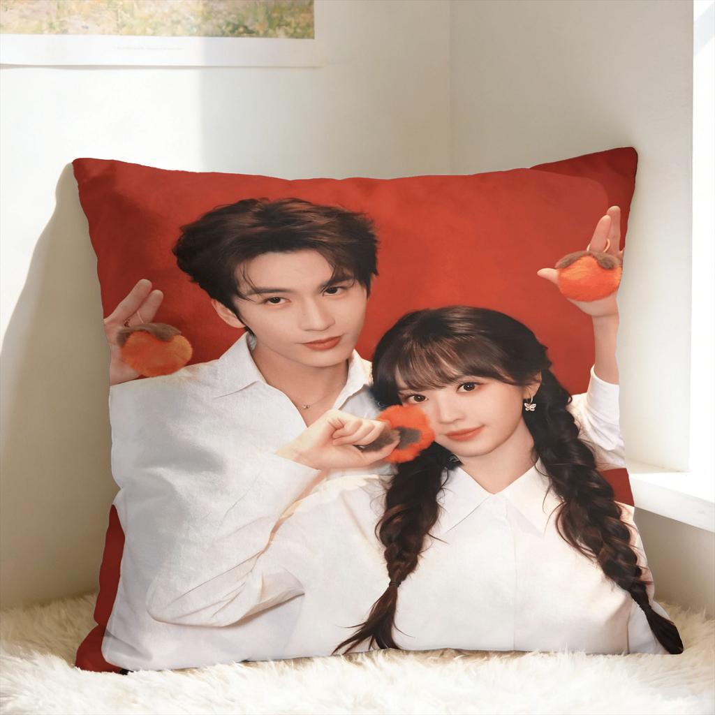 Pursuit Of Jade Pillowcases Zhang Linghe Tian Xiwei Vintage Pillow Case For Sofa Car Home Decor Soft Pillow Cover