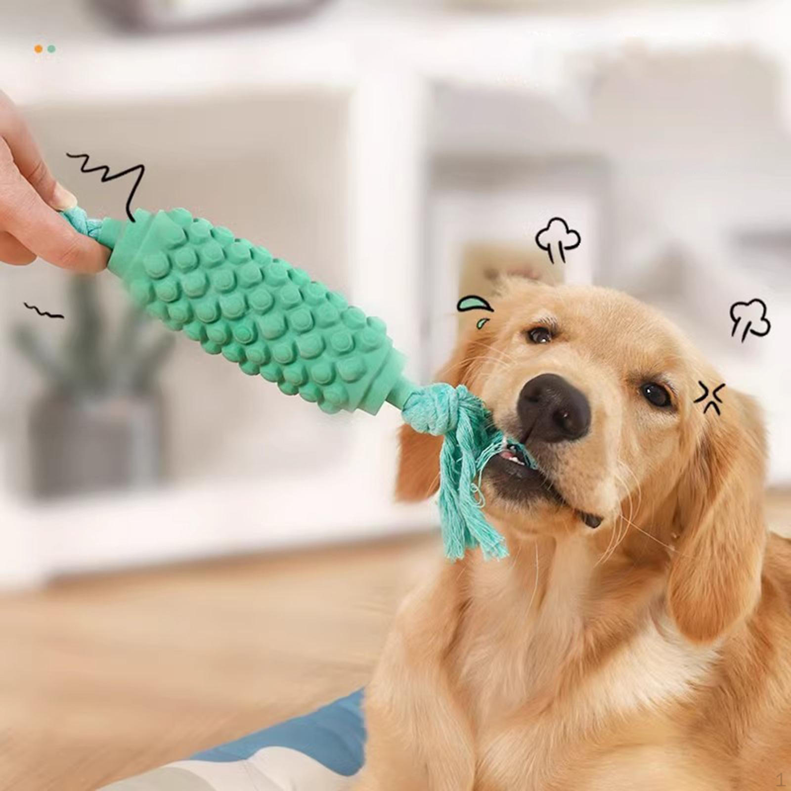 

Игрушки для жевания собак, игрушки для щенков, которые могут жевать и грызть, многофункциональные товары для домашних животных, игрушки для зелёный