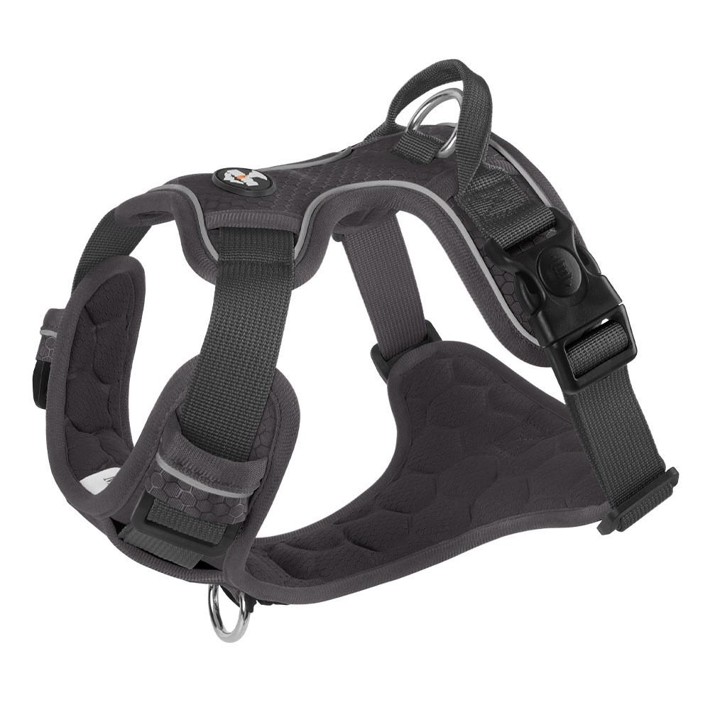 Pet Harness Vest With Nonextendable Leash For Small Dogs And Cats
