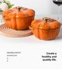 Little Happiness Multi-Function Cast Iron Pumpkin Enamel Pot - Stew, Soup, Universal Induction Cooker