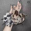Bag Decoration Rivet Cross Keychain Rock Heart Punk Jewelry Leopard Print Keyring  Jewelry Gift
