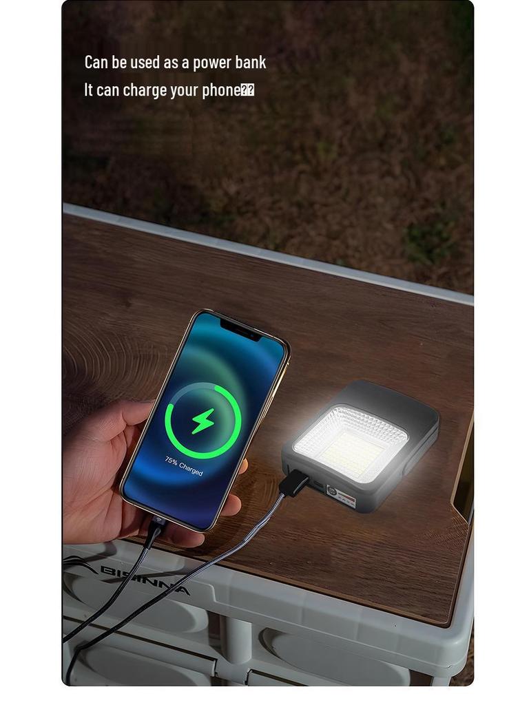 Mini USB Rechargeable LED Solar Floodlight for Outdoor/Indoor Camping & Emergency Lighting