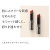 Etvos Mineral Sheer Matte Rouge 4g #Baked Brown