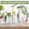 Plant Propagation Buddy - Indoor Plant Accessories for Supporting Buds, Stems, Shoots & Cuttings - Indoor Gardens