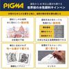 Sakura Pigma Brush Pen 10-Color Set Black ESDK-10#49 (0.05/0.1/0.2/0.3/0.4/0.5/0.8/1/2/3mm)