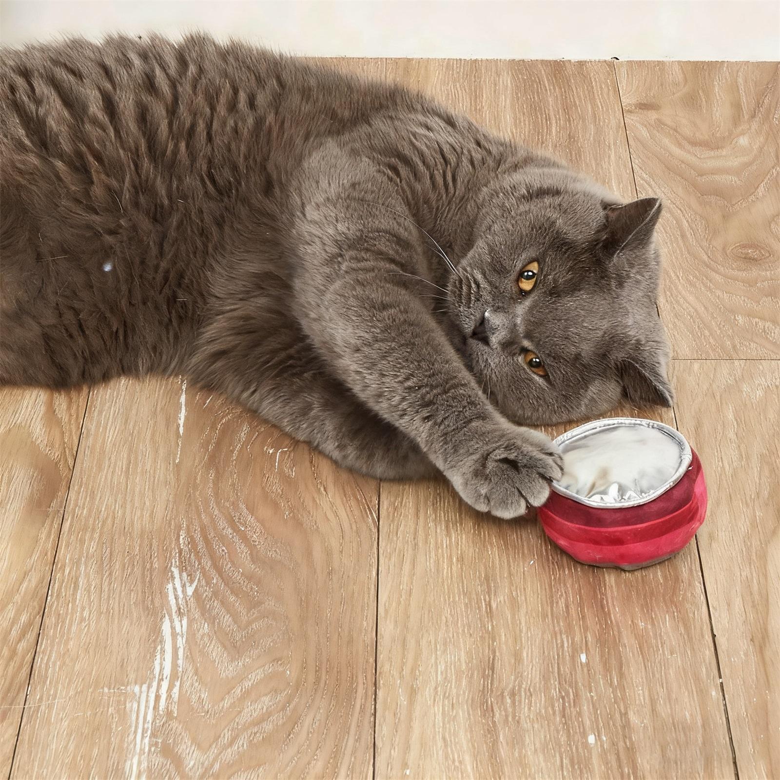 

Chew Toy Cute Canned Food Shaped Toy Set with Teething Scratching Play and Stress Relief Accessories Pet Toy Gift Choices (Purple Yellow 2pcs) One Size красный