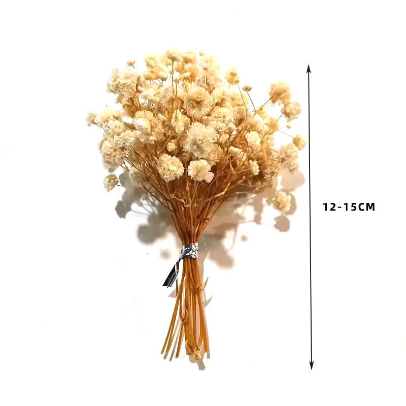 Mini Dried Flower Bouquet, Gypsy Rabbit Tail Reed Gift Box Car Decoration Wedding Corsage Souvenir Dried Flowers