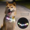 Dog Pet Pendant Night Light Waterproof Led Safety Pet Collar Pendants Lighted Puppy Flashing for Outdoor Hiking Training Walking
