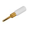 10ml False Eyelash Glue Hypoallergenic Waterproof Strong Stickiness Eyelash Extension Adhesive for Sensitive Skin