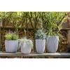 CAPI EUROPE Flower Pot GROOVE NL - 43x41 Cm - Ivory - Weatherproof