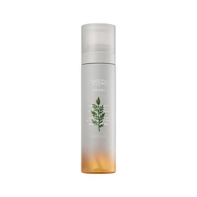 Artemisia Beruhigende Essenz (Nebeltyp) 120ml