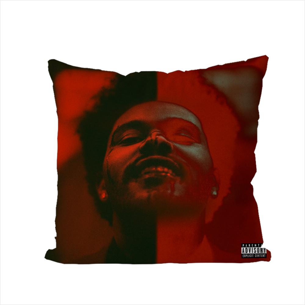 Federa Cuscino Singer The Weeknd Per Auto Divano Decorativa Casa Stampa Double-sided Peluche Quadrato Cuscino Decorativo Copricuscino