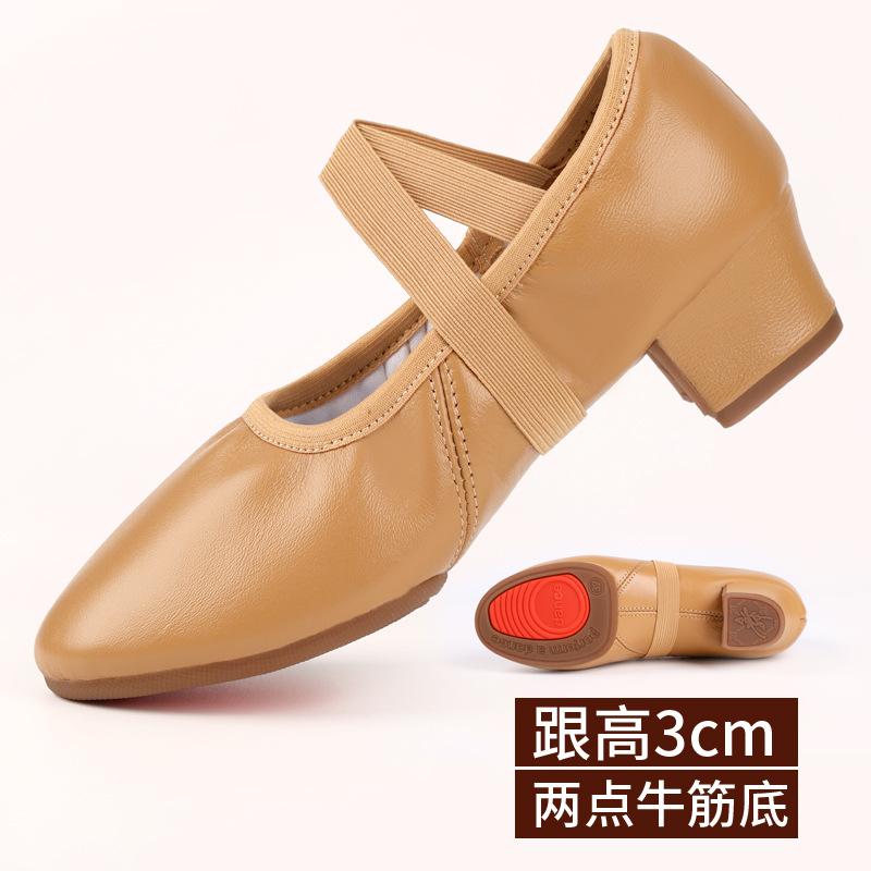 Dance Shoes for Women Two Point Flat Sole Teacher Shoes Professional Dance Shoes