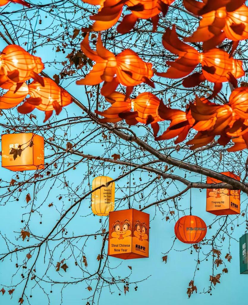 Outdoor Waterproof Koi Fish Lantern – Creative Luminous Decoration for Shopping Malls, Scenic Areas, and Commercial Streets.