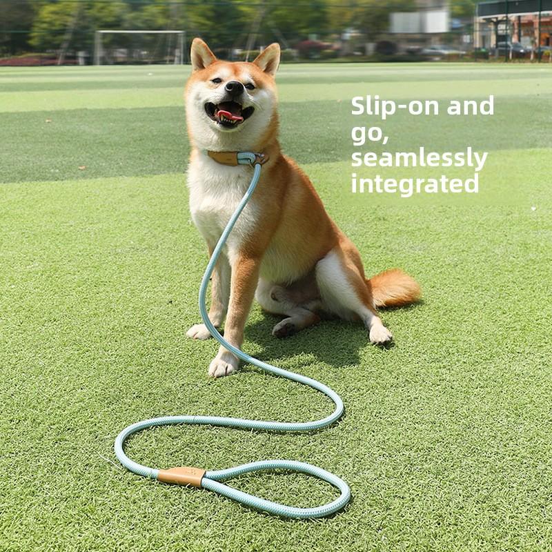 Dog Leash medium and large dog universal safety buckle dog chain collar walking dog P chain pet supplies