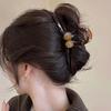 Detee Brown Simple Vintage Updo Hair Clip