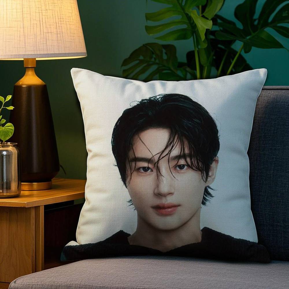 B-Byeon Woo-seok Korea Pillow Case Plush Fabric Soft Double Sided Print Sofa Cushion Cover Throw Pillow Covers