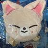 [USED] Straykids Ien Foxiny Mini Backpack