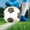1PC Royal Lion Crest Soccer Ball Size 5 Football Machine Sewn Indoor/Outdoor Universal Football S6
